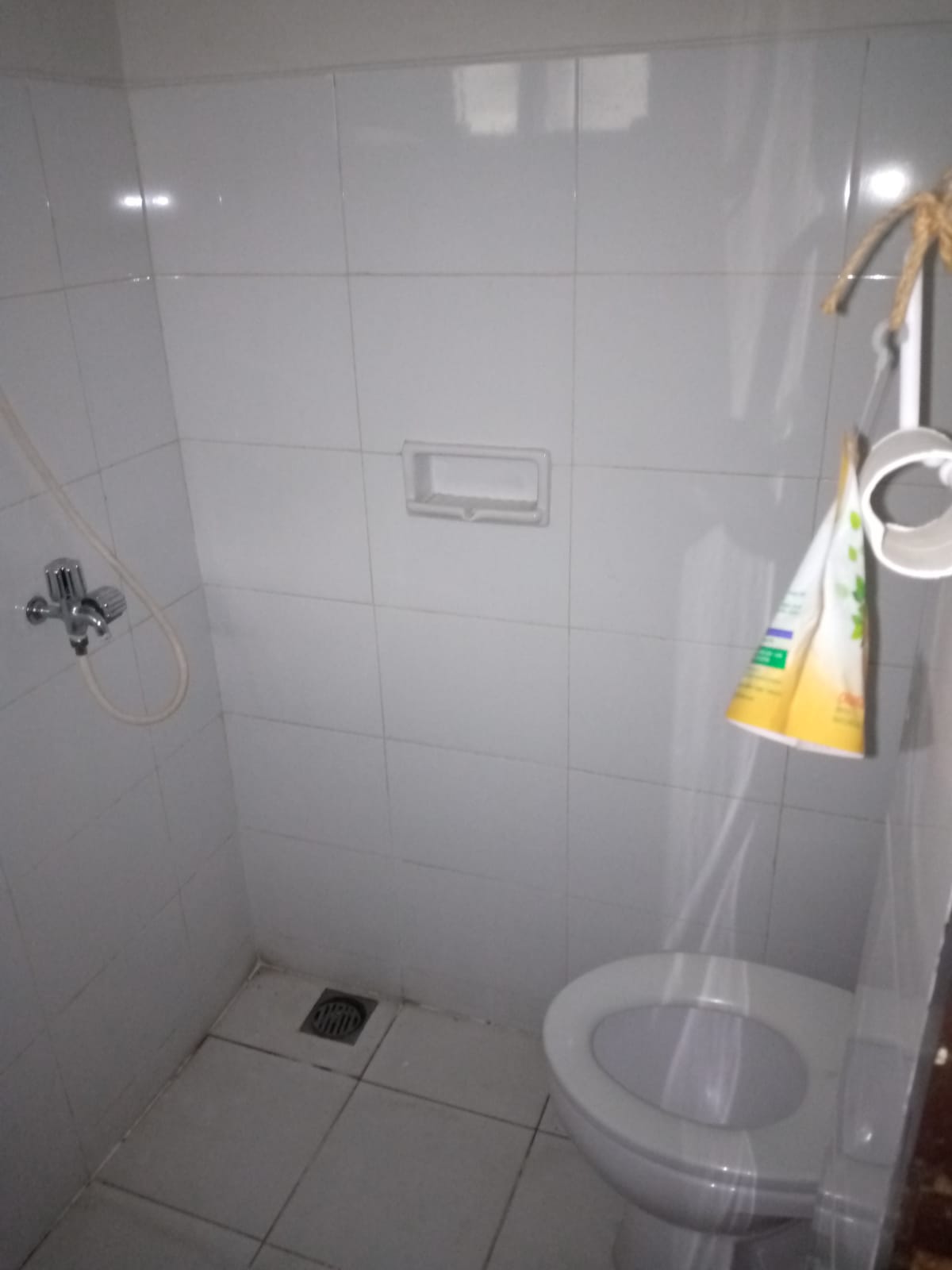 Rumah Disewakan Semi Furnished di Cluster Elysium Lippo Cikarang